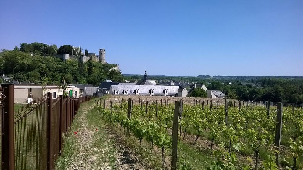 Résidence Prestige Odalys Le Clos Saint Michel Chinon Exterior foto